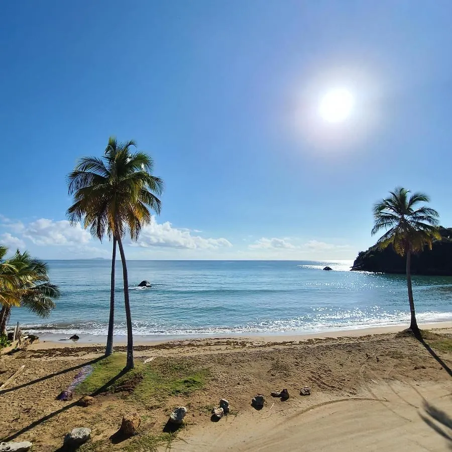 Parador Palmas De Lucia Yabucoa Puerto Rico