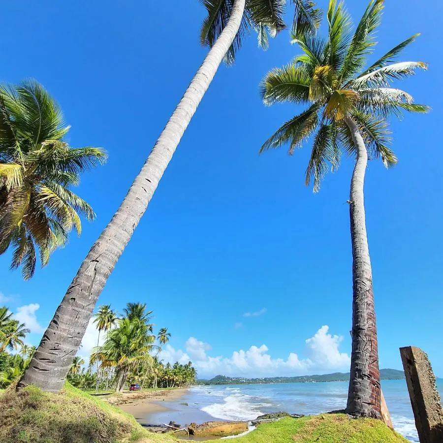 Parador Palmas De Lucia Yabucoa Hotel